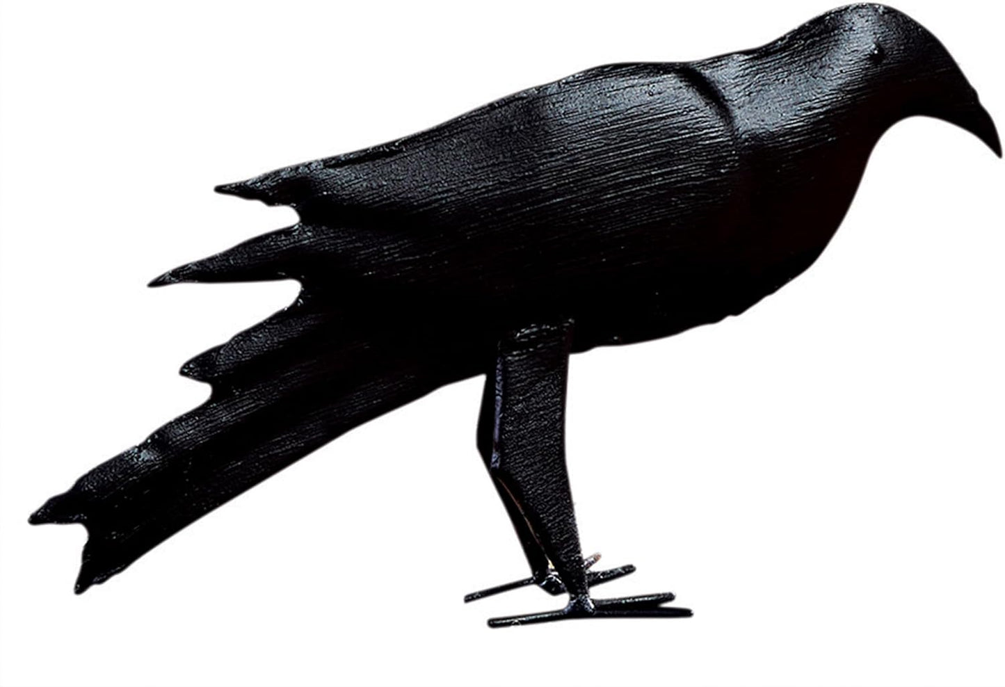 Primitive Iron Black Crow
